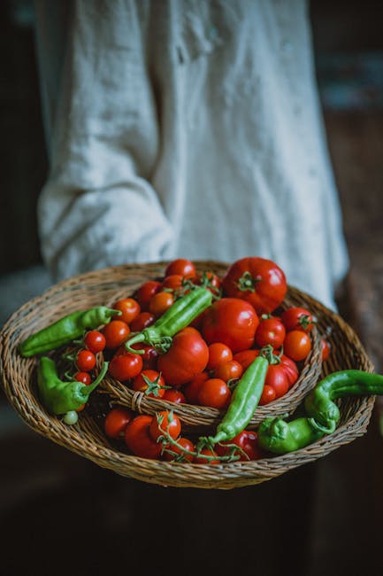 Reap_Wheat's tweet image. Please donate today!