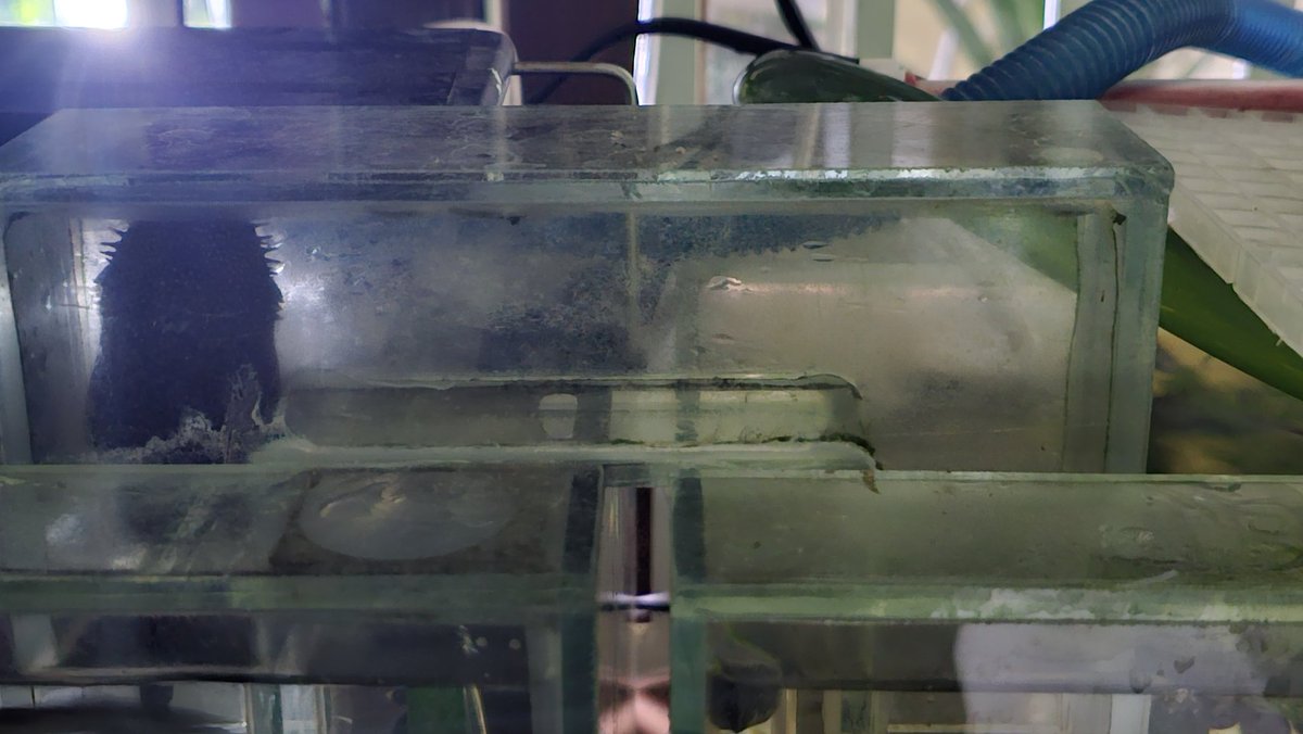 tanipon🌴 tweet media