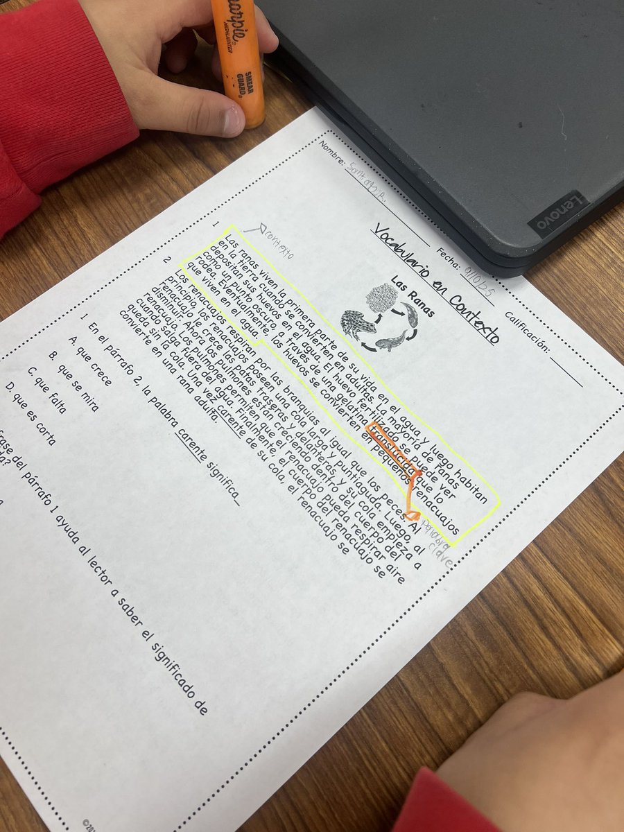 Building vocabulary through context!
Students are learning to unlock word meaning using context clues. 

*Word attack strategies to support comprehension.
*Color coding to make the strategy visible and meaningful.

<a href="/charapace08/">Chara Pace</a> <a href="/UmojaTurner/">Umoja Turner</a>