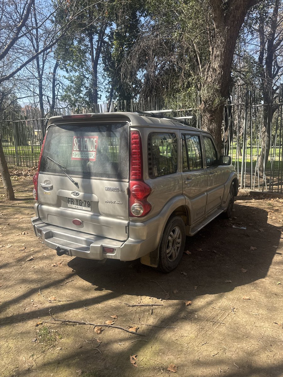 German Biehl tweet media