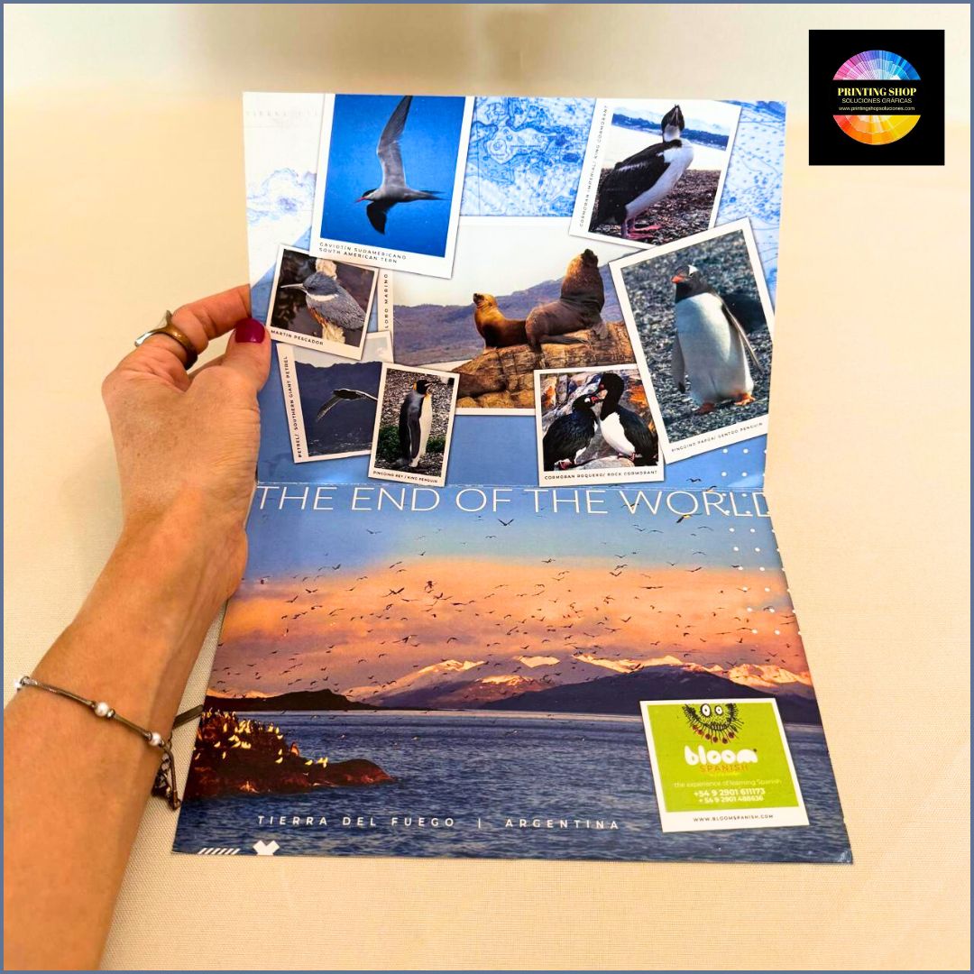 printingshopsrl's tweet photo. ✨ Dípticos de máxima calidad para tu marca ✨
Ideal para toda tu folletería: dípticos, trípticos, cuadrípticos, desplegables, manteles individuales y mucho más.

@impresionoffset 
WhatsApp 1143997641

#Folletos #Dípticos #Trípticos #Folletería #ImpresiónOffset #Imprenta https://t.co/6e9Mqo9ETx