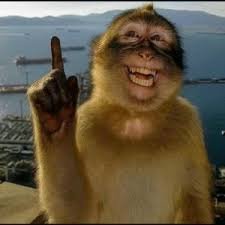 Vian 🖋💜 tweet media