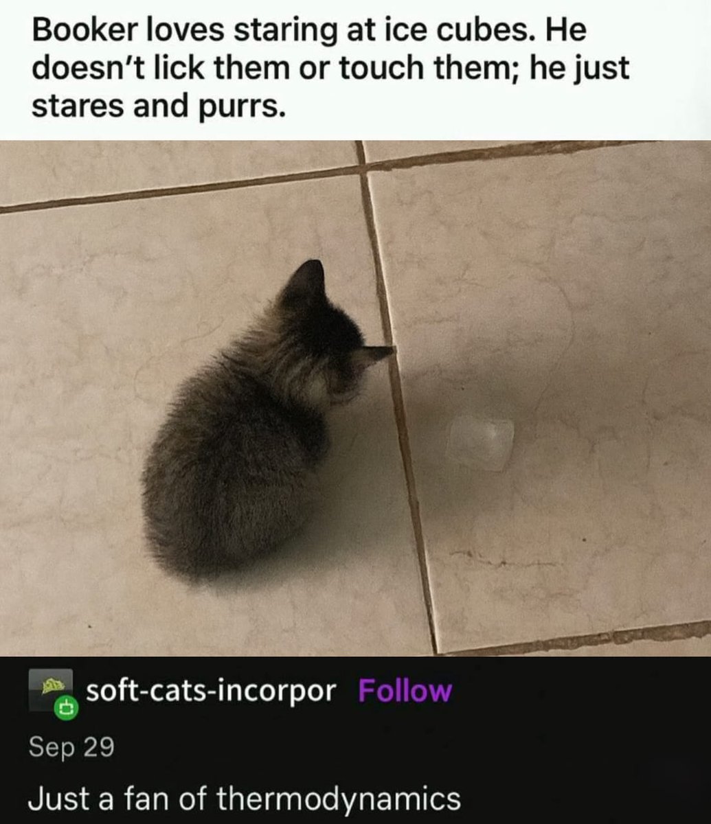 PunchingCat's tweet photo. https://t.co/uwchpEXtil