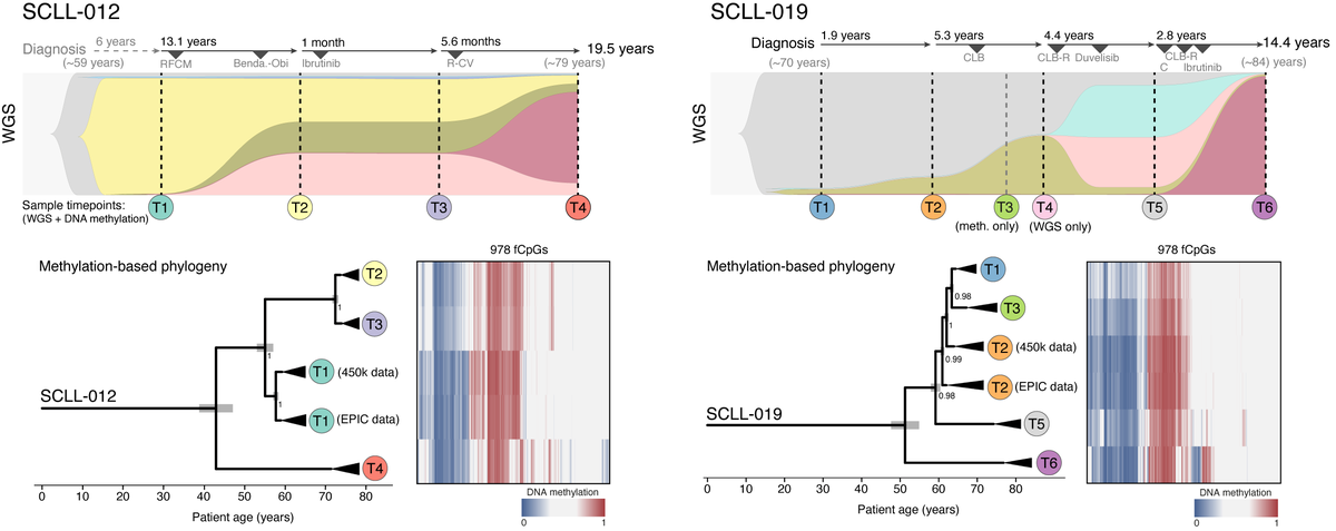 Calum Gabbutt tweet media