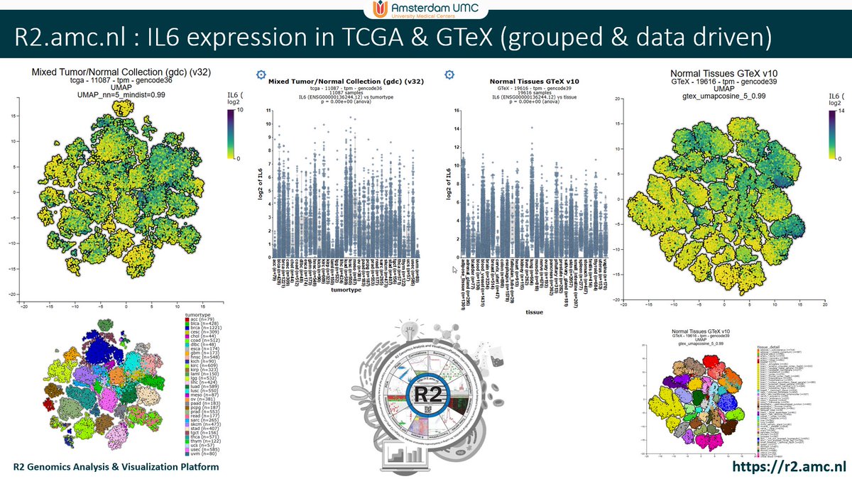 r2_microarray's tweet image. #IL6 expression in #TCGA & #GTEX
R2: open online data science platform for biomedical researchers (r2.amc.nl)
Interleukin 6: immune signaling molecule that plays complex roles in both stimulating and suppressing inflammation making it a subject of extensive study
