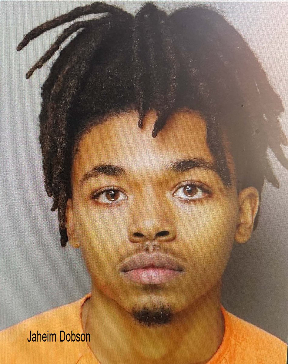 Pharrell Dobson, 21, and Jaheim Dobson, 19, are charged with