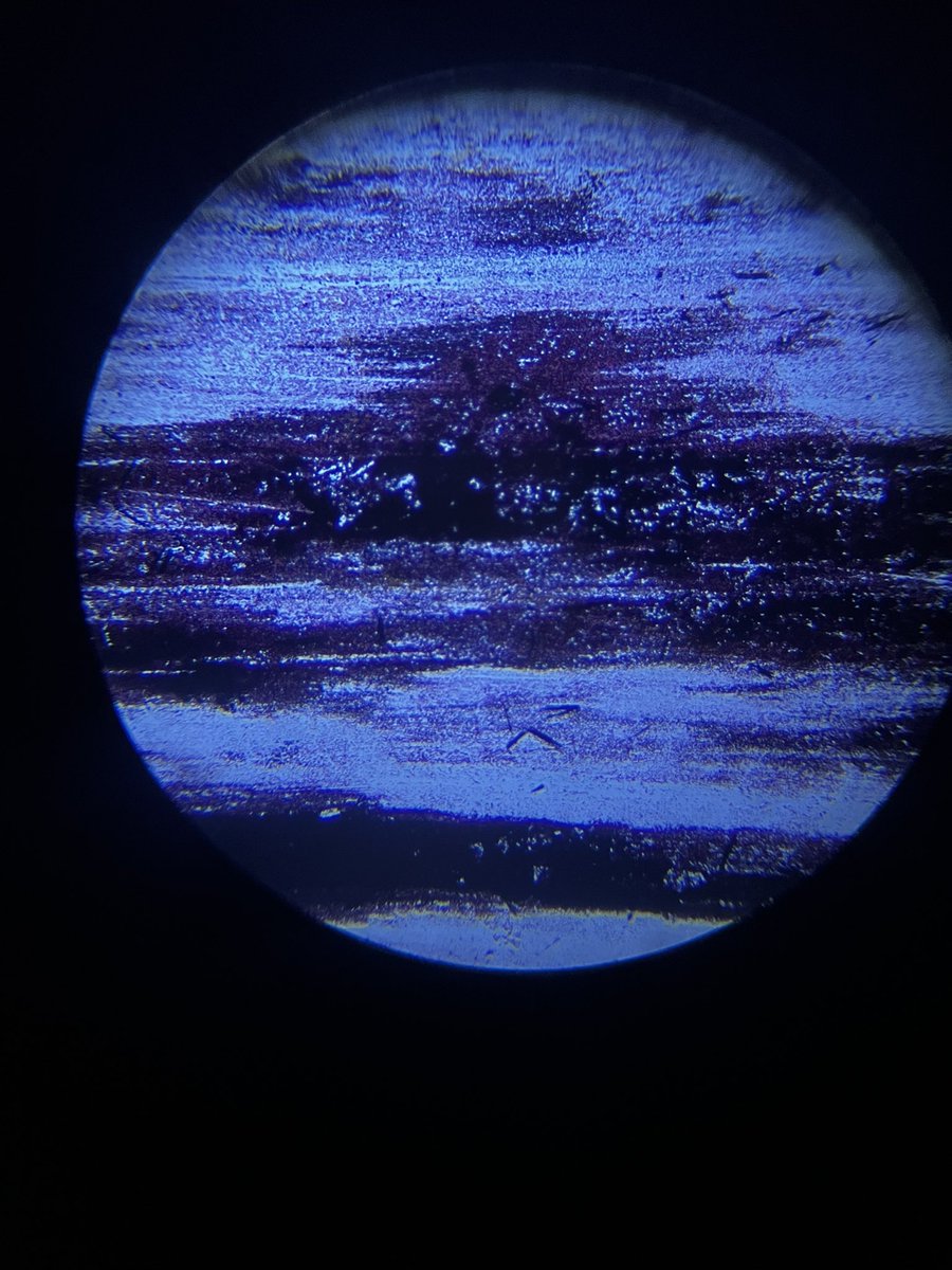 Daniela18503921's tweet image. #drlunasclass @aluna0707 Slaying the day , keeping the bacteria away 🦠