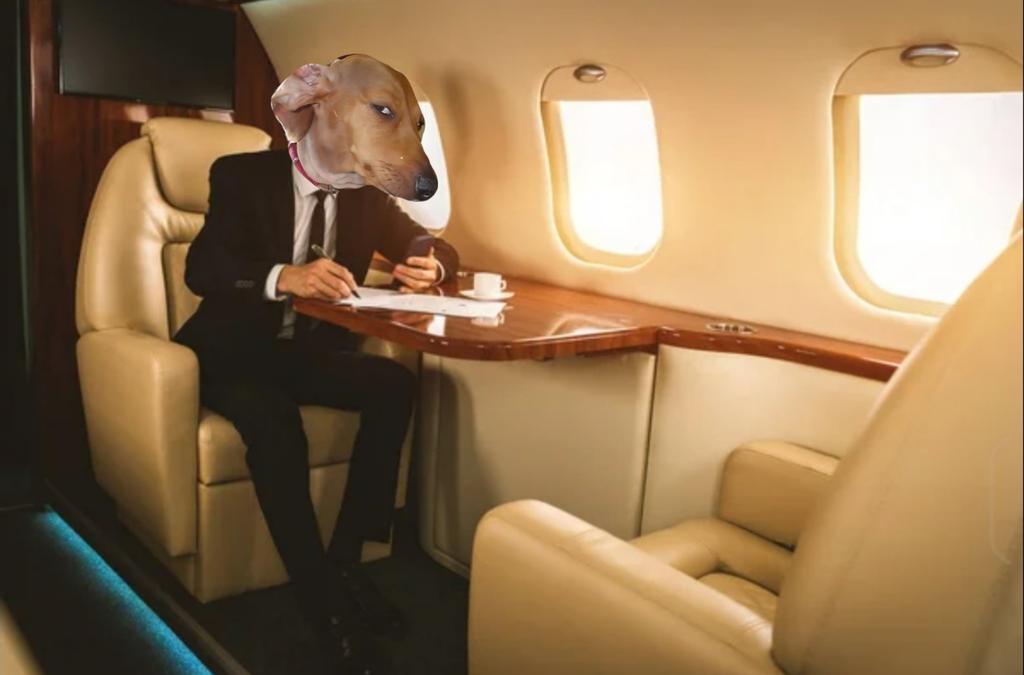 MoNoNoK3 tweet media