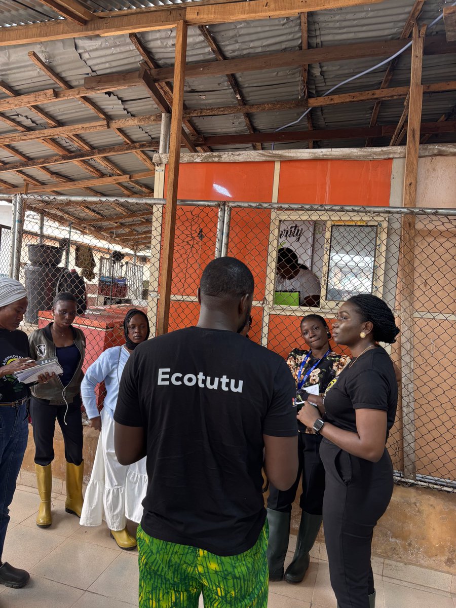 ecotutu's tweet image. We hosted @lagos_agrinnovation &amp;amp; @LSETF at the Ecotutu Hub for a Monitoring &amp;amp; Evaluation visit 💚❄️

We shared our journey, challenges &amp;amp; sustainability plans plus how the Agrithon grant boosted productivity, created jobs, spurred innovation &amp;amp; built networks. ✨

#EnablingGrowth