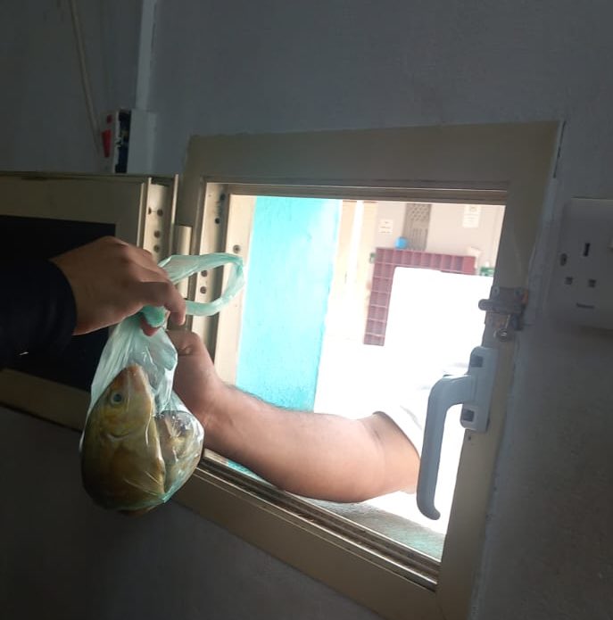 يتواصل العطاء 🌿💚
بالتعاون مع وزارة البيئة والمياه والزراعة بجازان،
استلمت #جمعية_وجد_الخير_لحفظ_النعمة 141 كجم من الأسماك المتنوعة، وتم توزيعها على مستفيدي الجمعية لضمان وصول الخير لكل محتاج 🍽️✨

#حفظ_النعمة 
#جازان