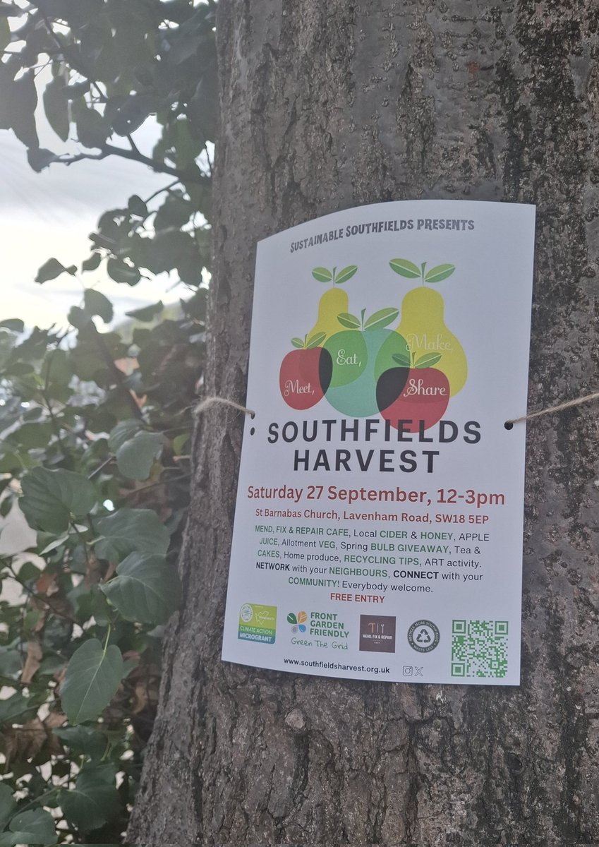 Sue Wixley 🔶️ 🧡 tweet media