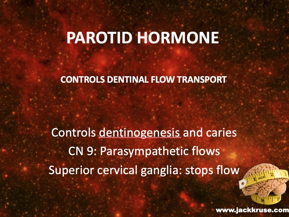 ☣️ Pleb Kruse = BTC foundationalist in exile 🟩🔆 tweet media