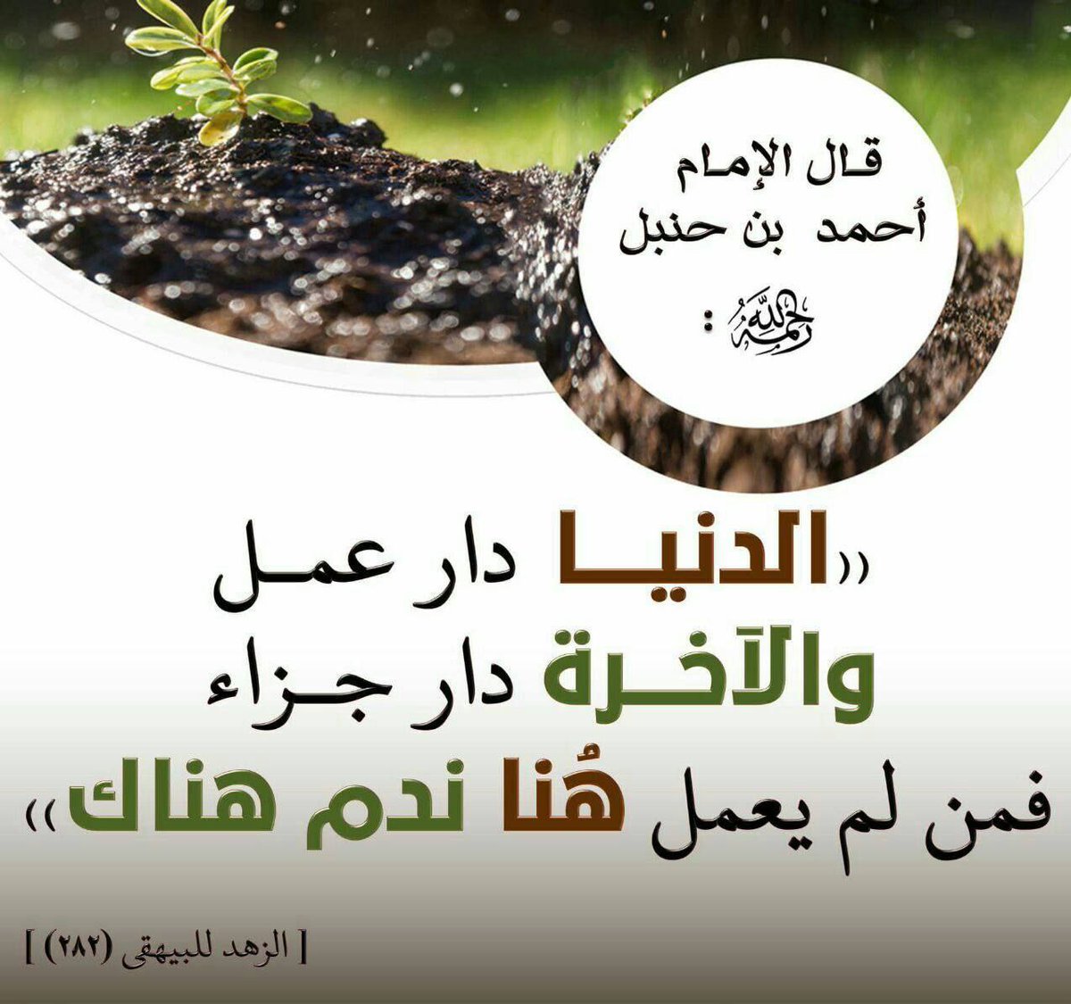 ساره (@mmmdmmmd156831) on Twitter photo 