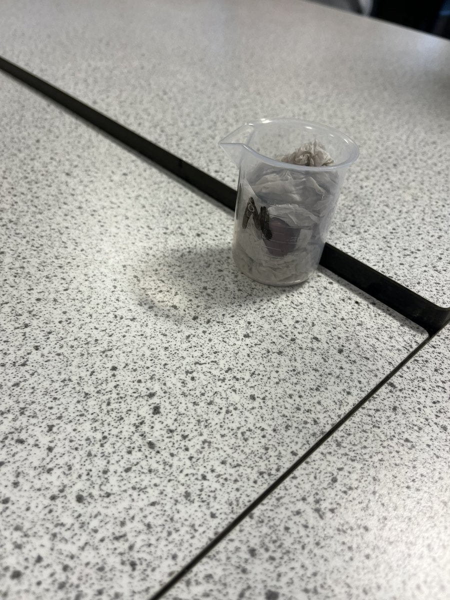 HermiAcadSci's tweet image. S3 Biologists have been looking at plant propagation this week - seed structure, germination and taking cuttings 🌱 🪴 #UNCRCArticle29