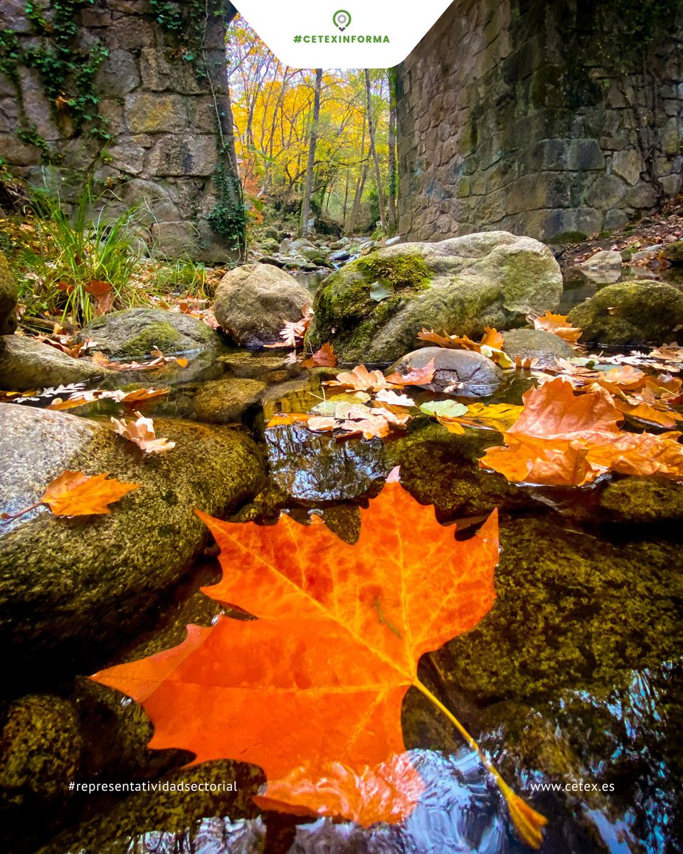 #CetexInforma 🍂 Del 24 de octubre al 30 de noviembre, el Valle del Ambroz vuelve a llenarse de color, música y tradición con su Fiesta de Interés Turístico Internacional.

+info: visitambroz.es/otono_magico/o…
Fuente: Visita Ambroz
#representatividadsectorial #turismo #ValldedeAmbroz