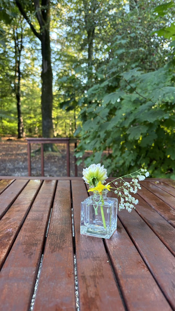 Op naar Bosconferentie 2026! 

Grootste plezier van afgelopen maanden is dat je een pauze kunt nemen zonder te stoppen. Nomadisch organiseren met compassie naar het unieke proces.