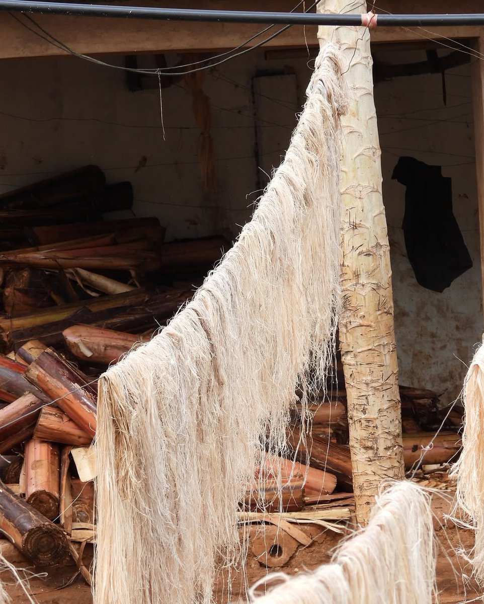 Style House Files tweet media