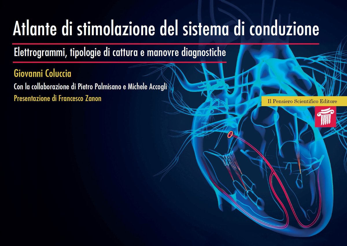 Giovanni Coluccia tweet media