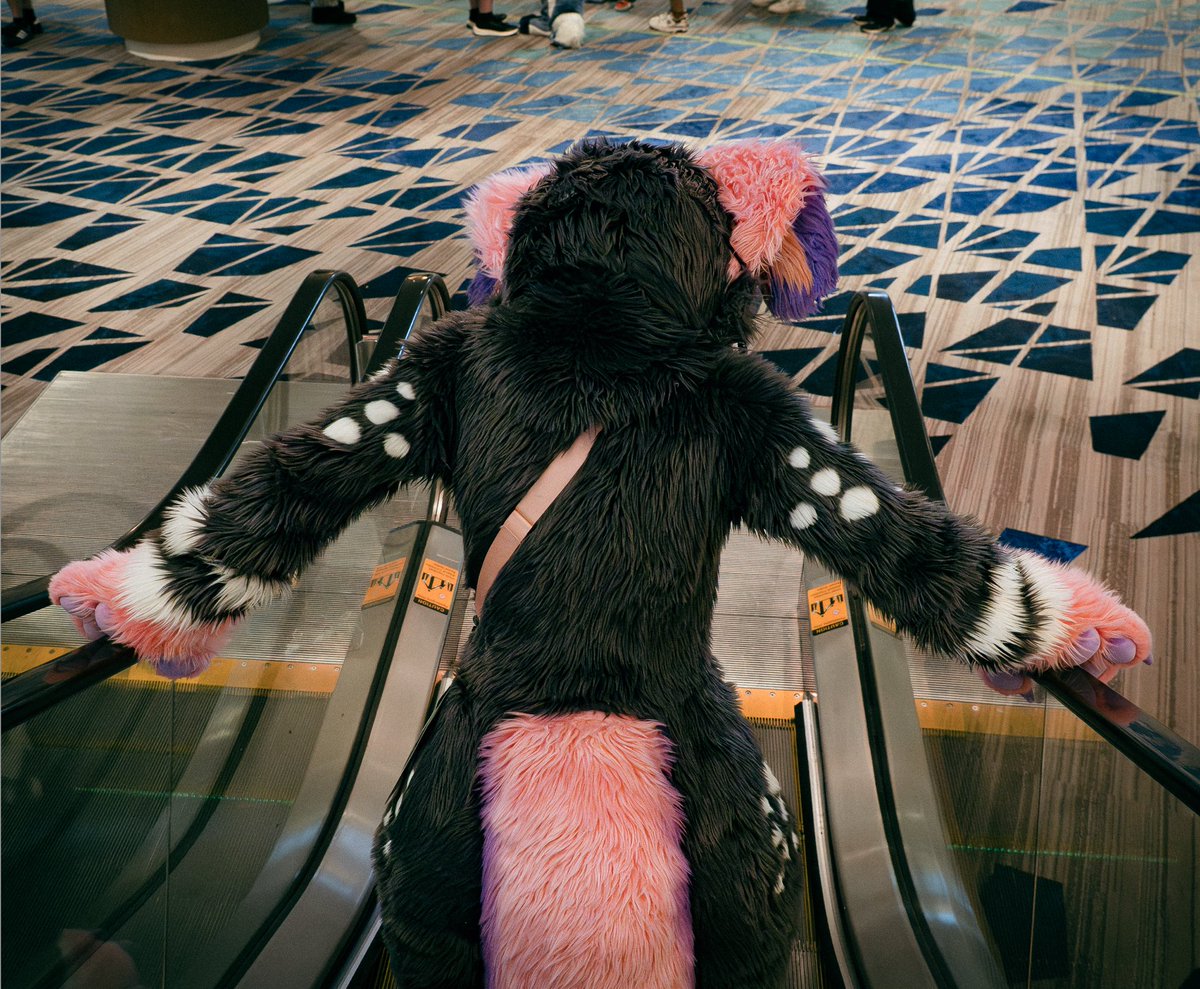 is this what people mean when they say backshots? 🤔

📸: <a href="/heya_ari/">ari✨ 🔜 afc</a>