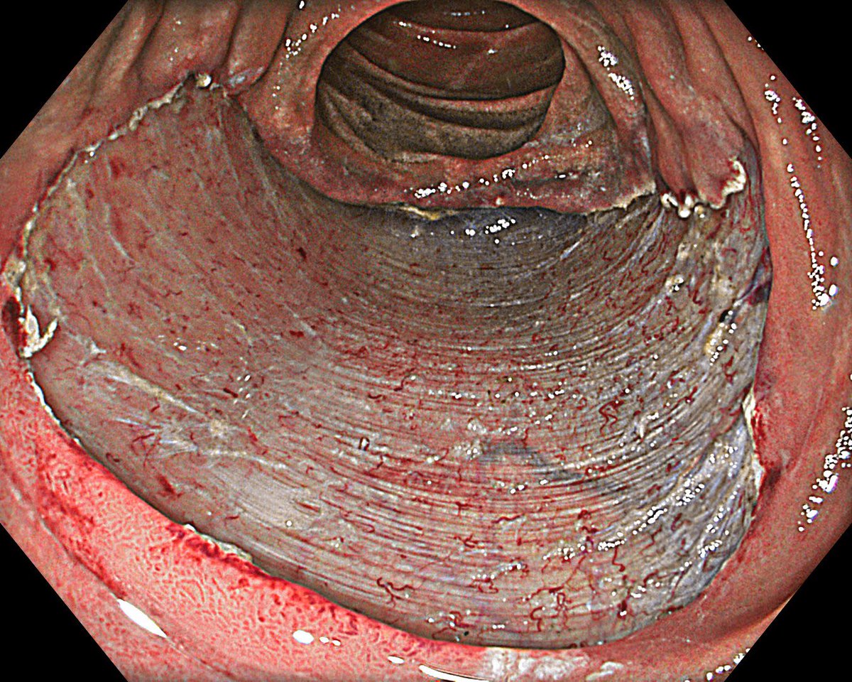 Prof. Dr. Fatih ASLAN tweet media