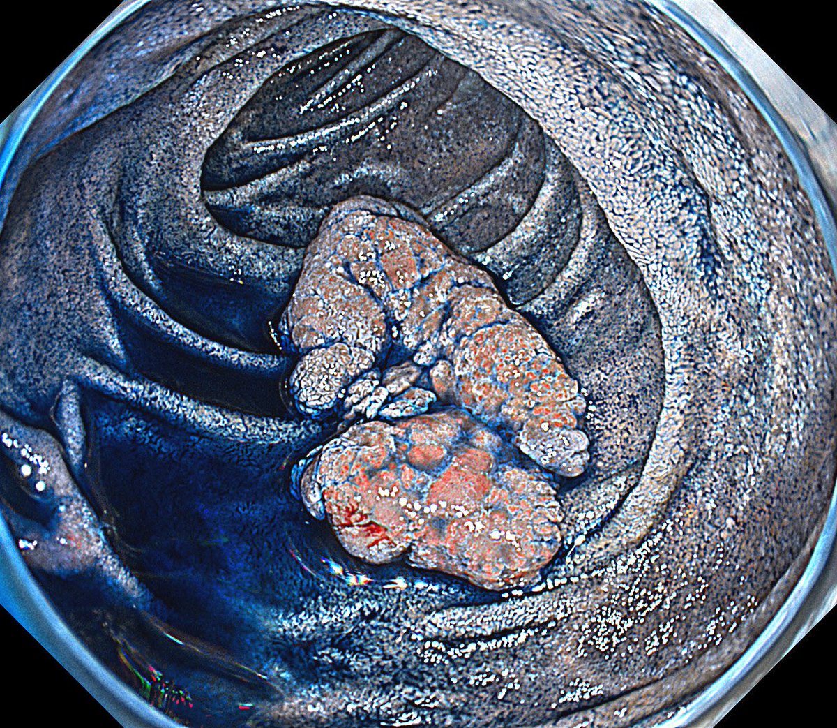 Prof. Dr. Fatih ASLAN tweet media