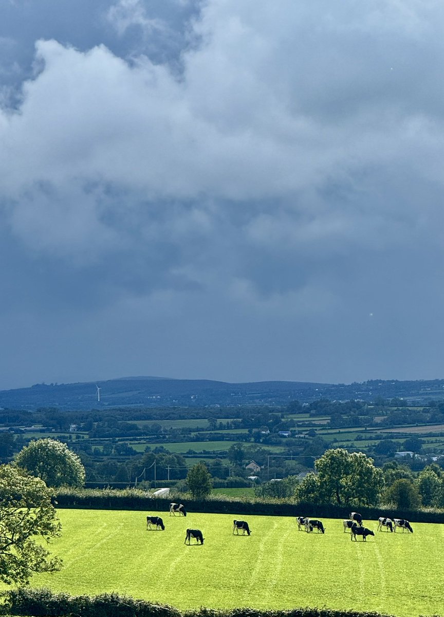 Rachel Cassidy tweet media