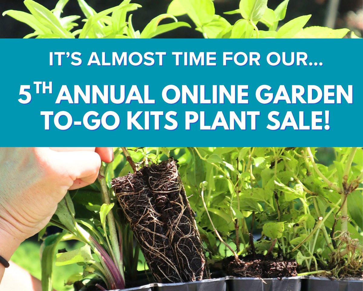 The ONLINE Garden To-Go Kits Plant Sale is almost here! 🪴
Our members get the BEST deals with early access tomorrow + 10% off. Not a member yet? Now’s the perfect time to join! 

Click here to learn more: norfolkbotanicalgarden.org/gardentogokits/