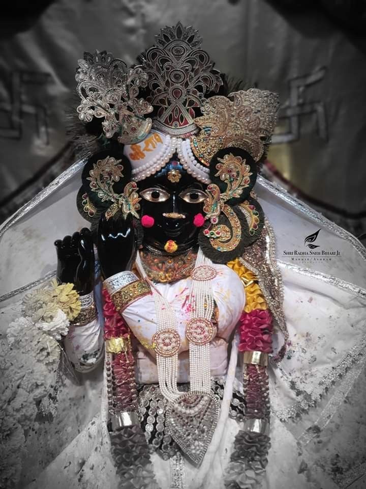 Radhika Ras 🪷 tweet media