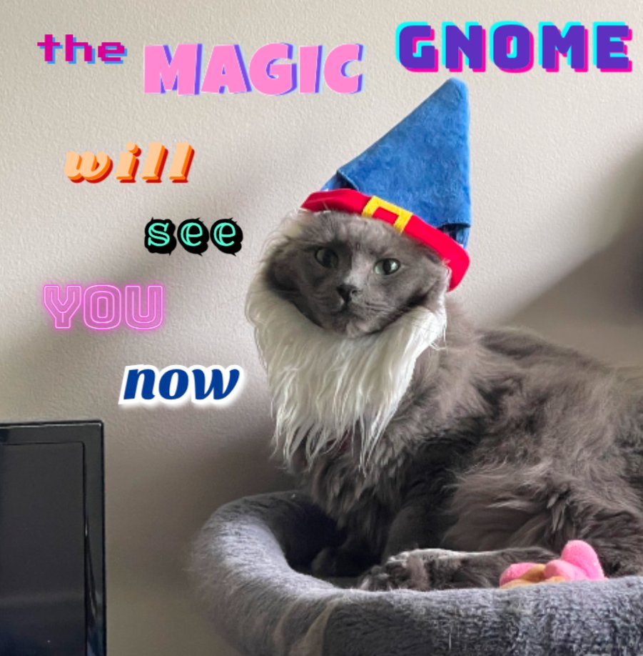 soft_bb_bug's tweet photo. the magic gnome will see you now https://t.co/n8SxZTQnwv