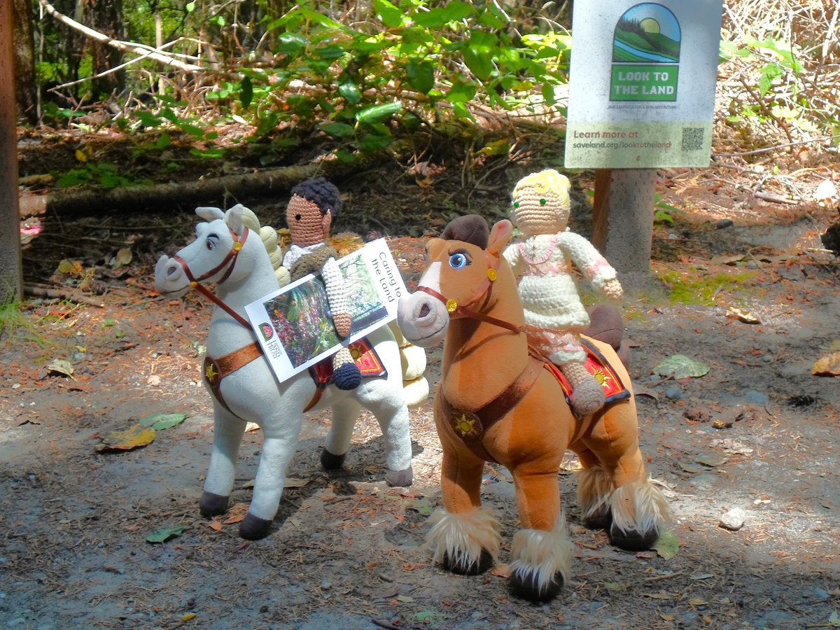 Cicero &amp; Elizabeth continue their ride <a href="/RedsKnitDolls/">RedsKnitDolls</a> now that they have finished reading the information brochures about the Quimper Wildlife Corridor. Cicero decides he had better bring some vital intel home to protect all their dogs and horses.
#TURNamc