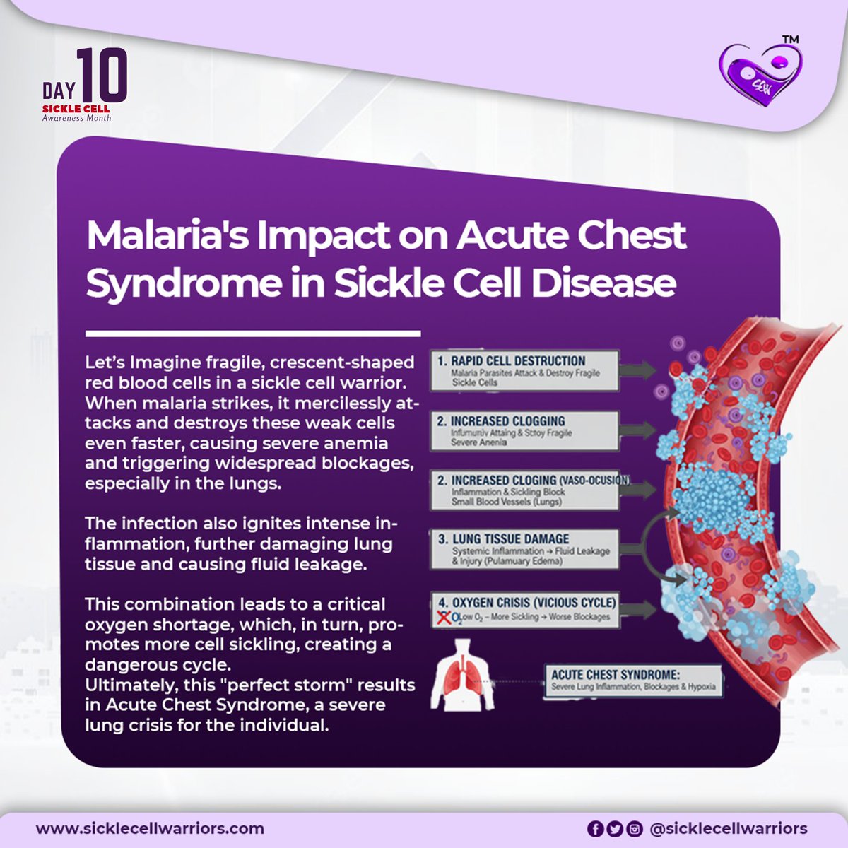 Sickle Cell Warriors tweet media