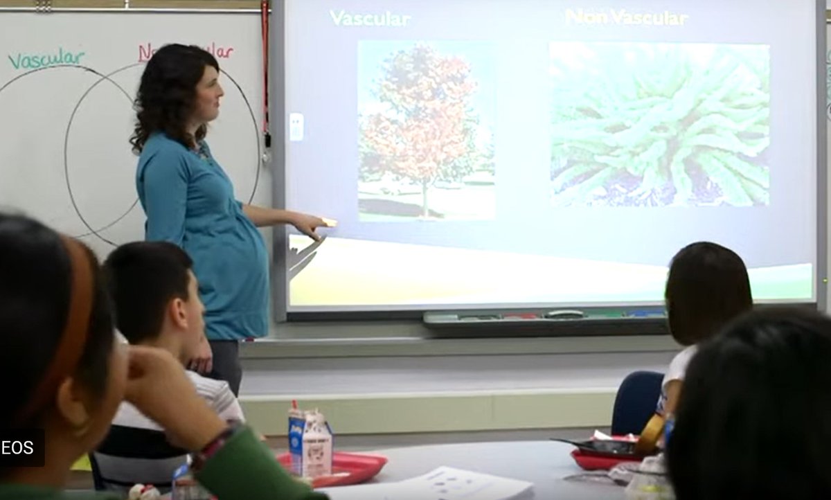 ELL Strategy: Pre-teaching Content and Vocabulary 

Pre-teaching content and vocabulary can help prepare students for  content-area instruction by giving them a chance to get familiar with  the material prior to the lesson.

colorincolorado.org/teaching-ells/…