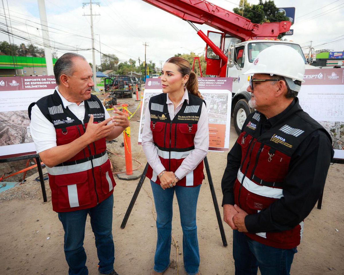 Marina del Pilar tweet media