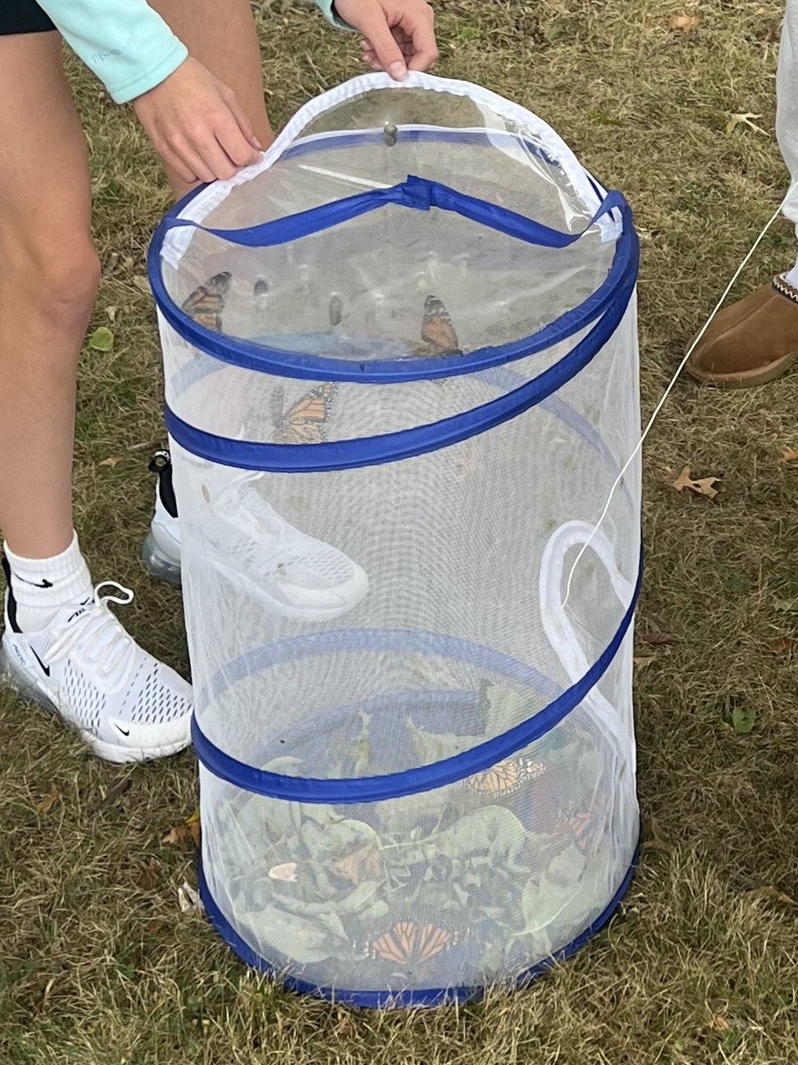 Mr. Yescavage’s 4th and 6th period classes had their Butterly Release today.
