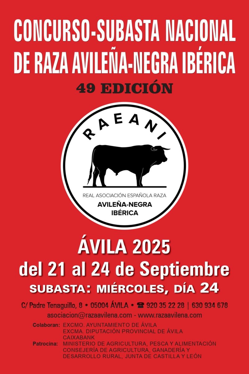 AecraniN's tweet image. 📢 anota las fechas: del 21 al 24 de septiembre #FeriaAvila 🔝🔥
Te vamos a ir contando todo lo que tenemos preparado para esta 49 edición 
No puedes faltar!!📌
#avileña #100x100nuestro #elcamponopara #ganaderia #rural_love #ganado #rurallife #Avila