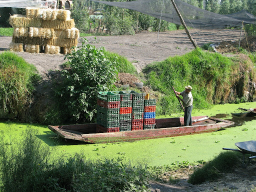 TransPath tweet media