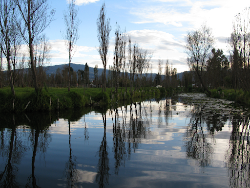 TransPath tweet media