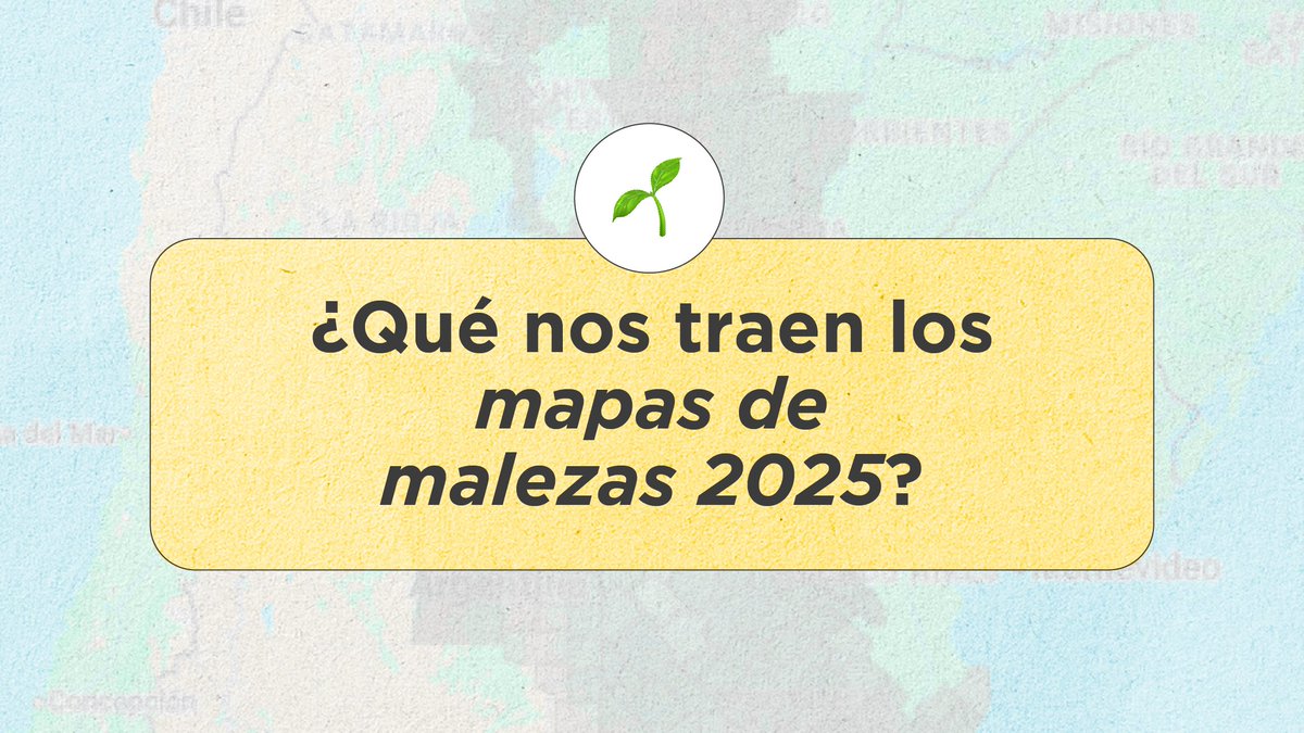 🧵HILO - Nueva actualización de Mapas de malezas problema

🗺️ Con 29 millones de ha mapeadas, se registró la presencia de 34 especies de malezas problema. 

En este hilo te adelantamos las más destacadas⬇️