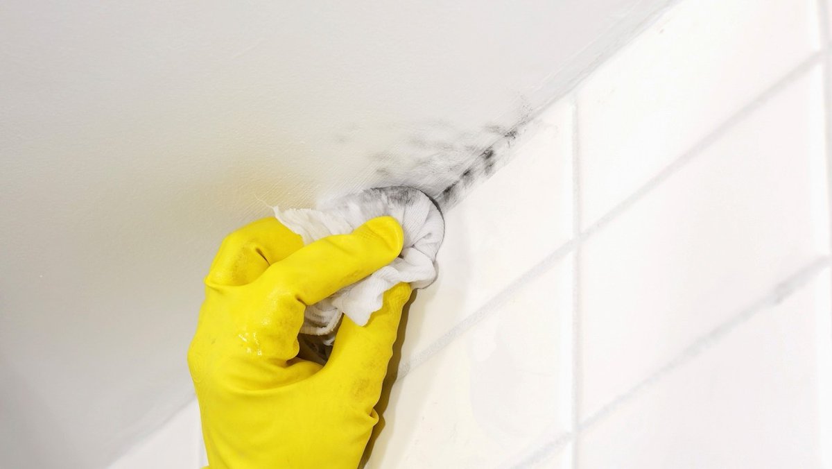 JeffRomatzick's tweet photo. How to Remove Mold From a Bathroom Ceiling https://t.co/YQrBnZiySZ https://t.co/B52mxeyulF