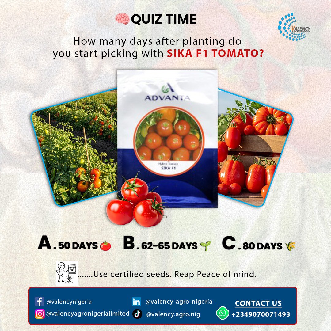 valencyagronig's tweet photo. QUIZ TIME 🧠

How many days after planting do you start picking with Sika F1 Tomato?

Comment your guess below 👇

#AgroQuiz #SikaF1 #FarmSmart #ValencyAgroNigeria https://t.co/1e8406jjk4