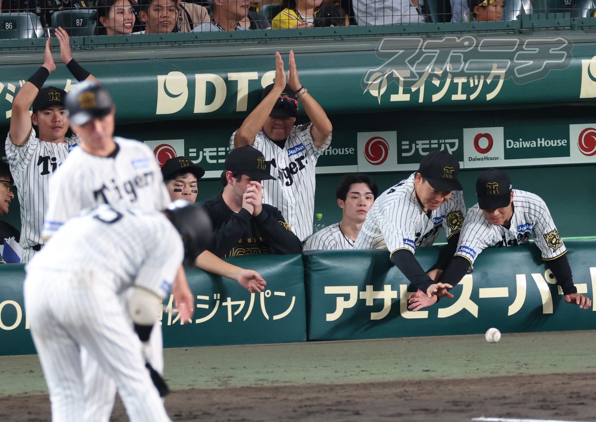 Sponichi_Tphoto's tweet photo. #楠本泰史 選手の移籍後初安打の記念球を奪い合う？ #大山悠輔 選手と #植田海 選手 https://t.co/rK6NqWEf7y