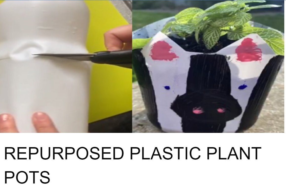 🌈The STEM Hub tweet media