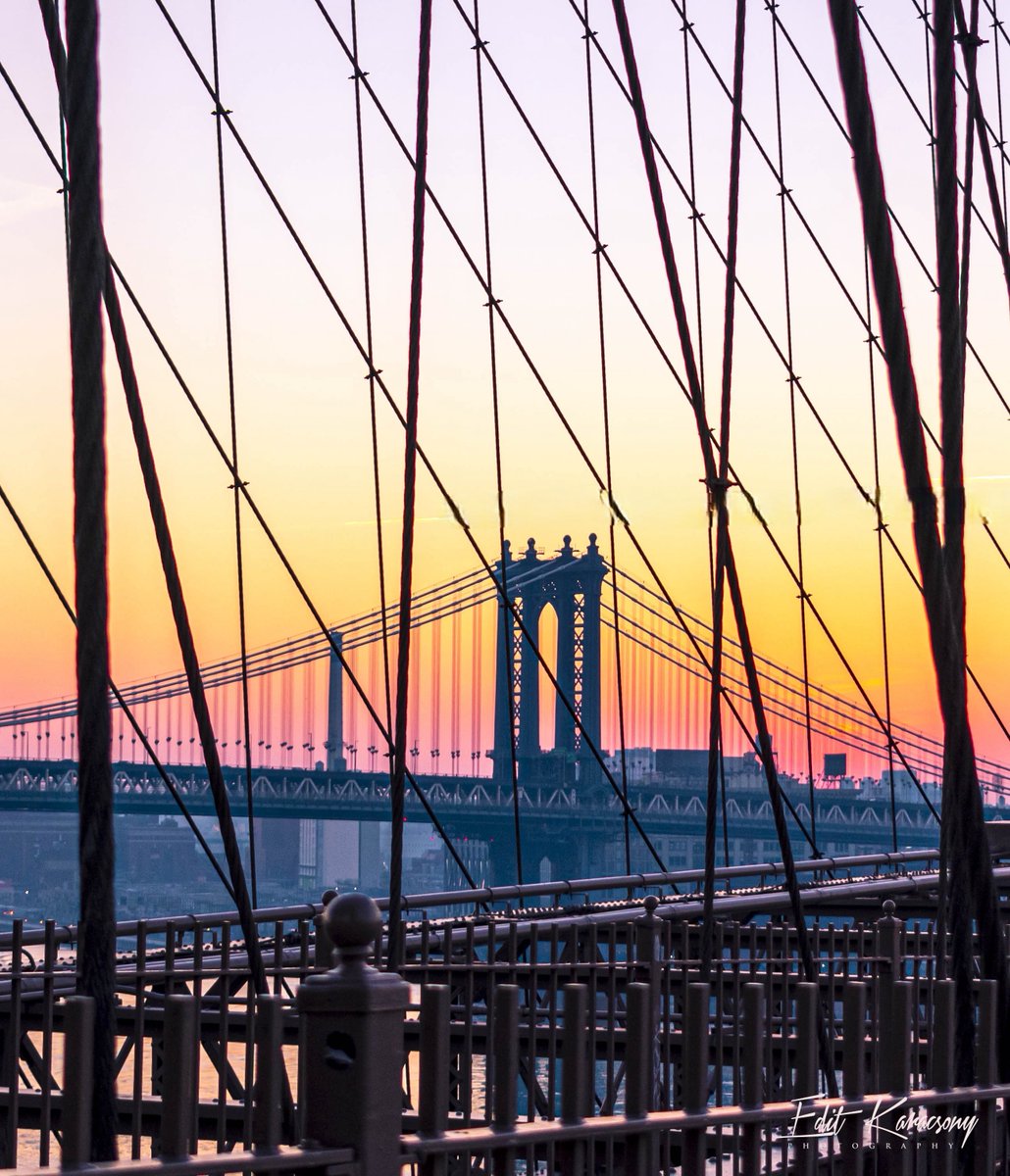 A brand new day. 

New York City.