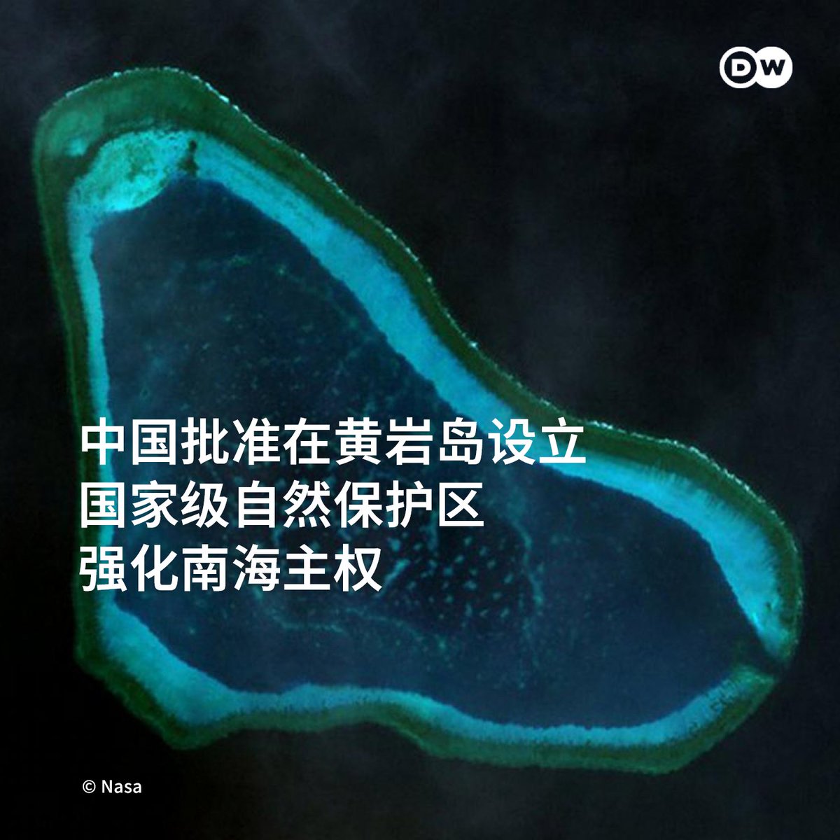 DW 中文- 德国之声 tweet media
