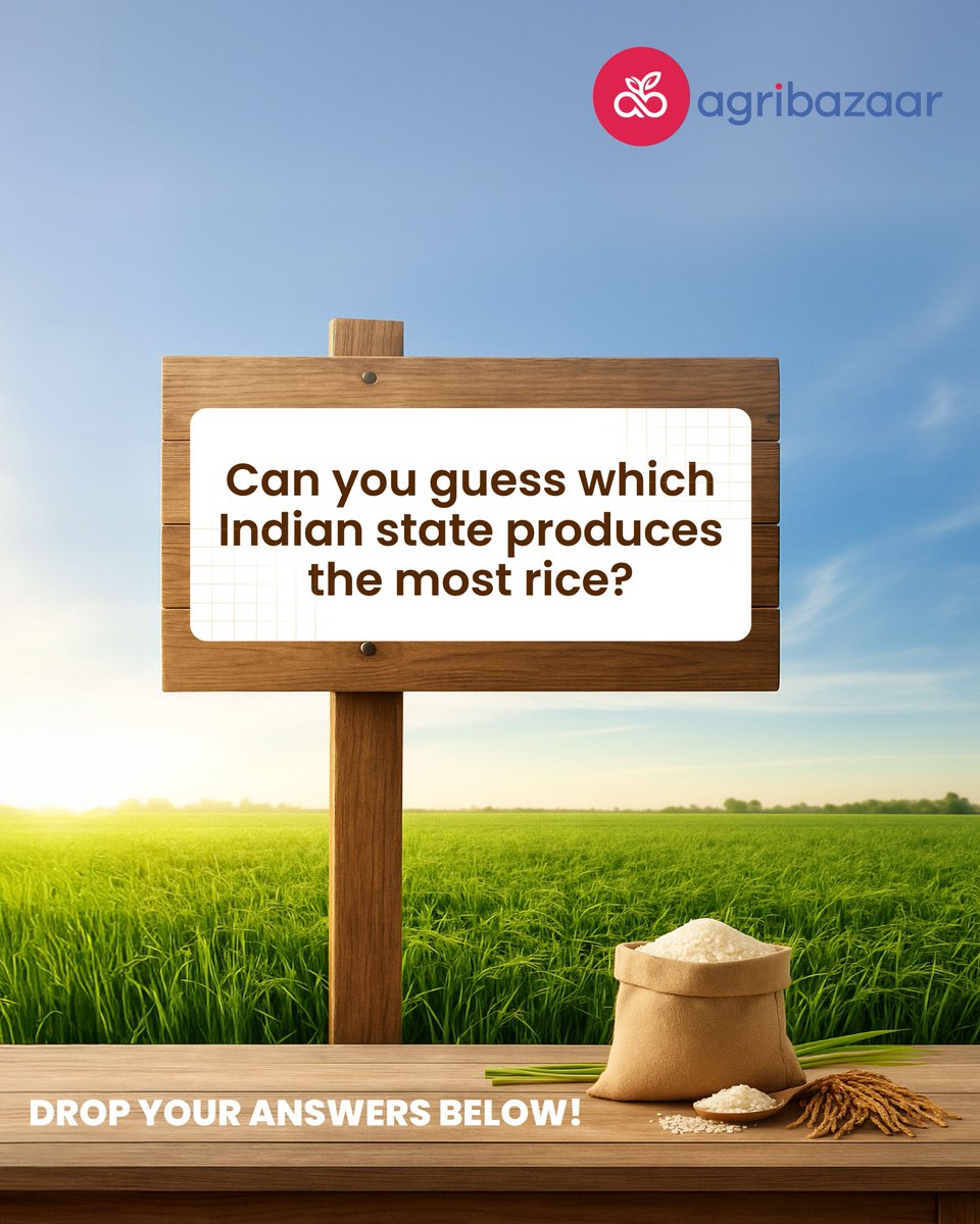 Rice is more than just food in India—it’s a staple that feeds millions daily. 🌾
But do you know which state tops the chart as the largest rice producer?

Hint: With its fertile soil and abundant rains, it holds a clear lead.
Share your guesses below—let’s see who gets it right!