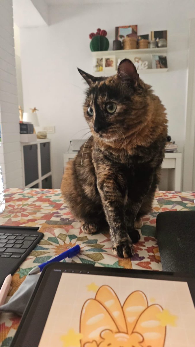 montselabb's tweet photo. ✨ Print day today! (⁀ᗢ⁀) ♡

I’ve been working on some improvements for my shop, and I’m sooo excited to share them with you soon! 🌸 Can’t wait for you to see all the cute things I’ve been preparing 💌 

P.S. look at my supervisor. Isn’t she the cutest?! https://t.co/23HsCwfHax