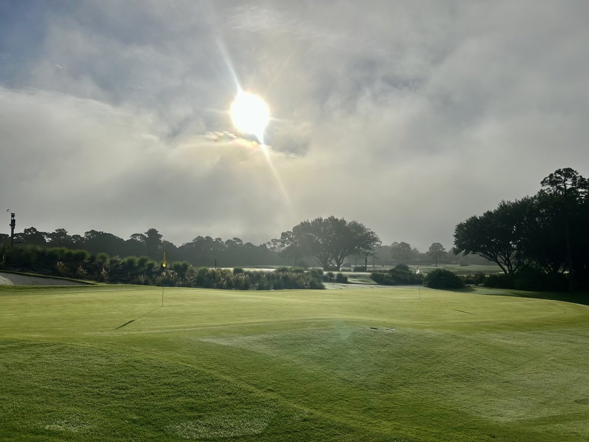 Sun finally breaking through a rare morning haze here in Sunny South Florida. Enjoy!