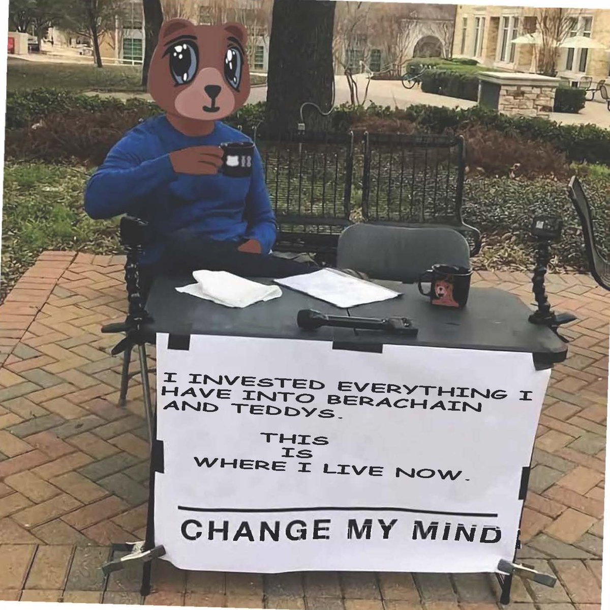 steady teddys tweet media