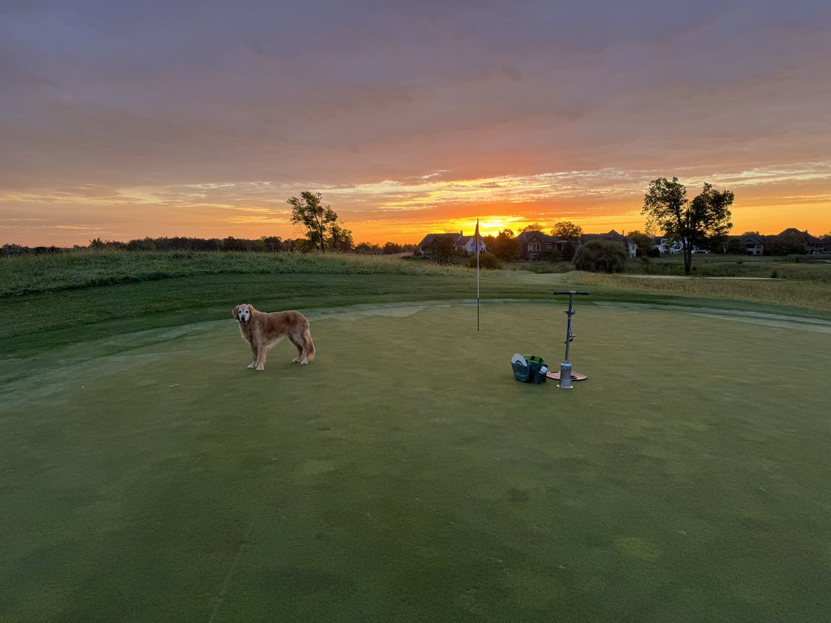 purdueturfy's tweet image. Enjoying our last 40 degree morning for a while. #golfcourselife #ouroffice #dogsofturf