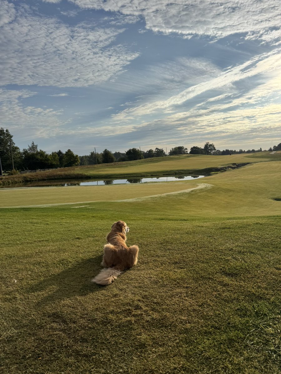 purdueturfy's tweet image. Enjoying our last 40 degree morning for a while. #golfcourselife #ouroffice #dogsofturf
